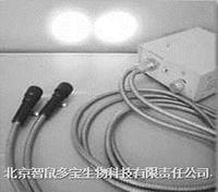 冷光源（双头） DB035