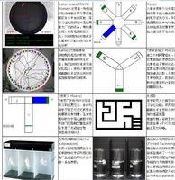 动物行为学视频分析系统 DB